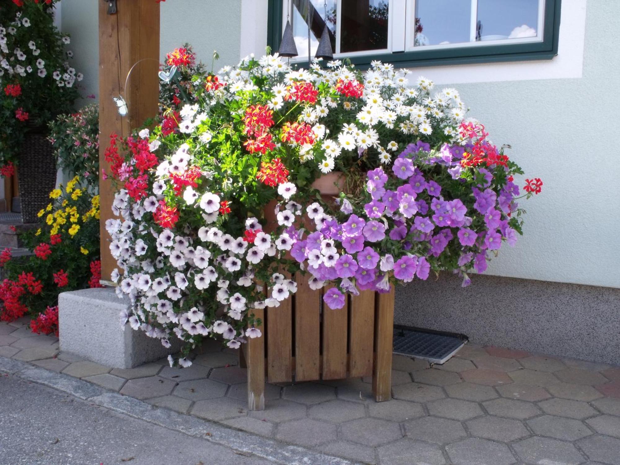 Appartements Bacherhof Schladming Luaran gambar